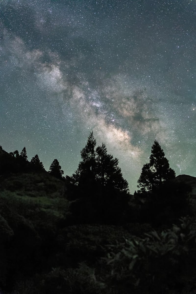 Milky Way Halls